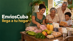 Logo de EnviosCuba en BizneCubano